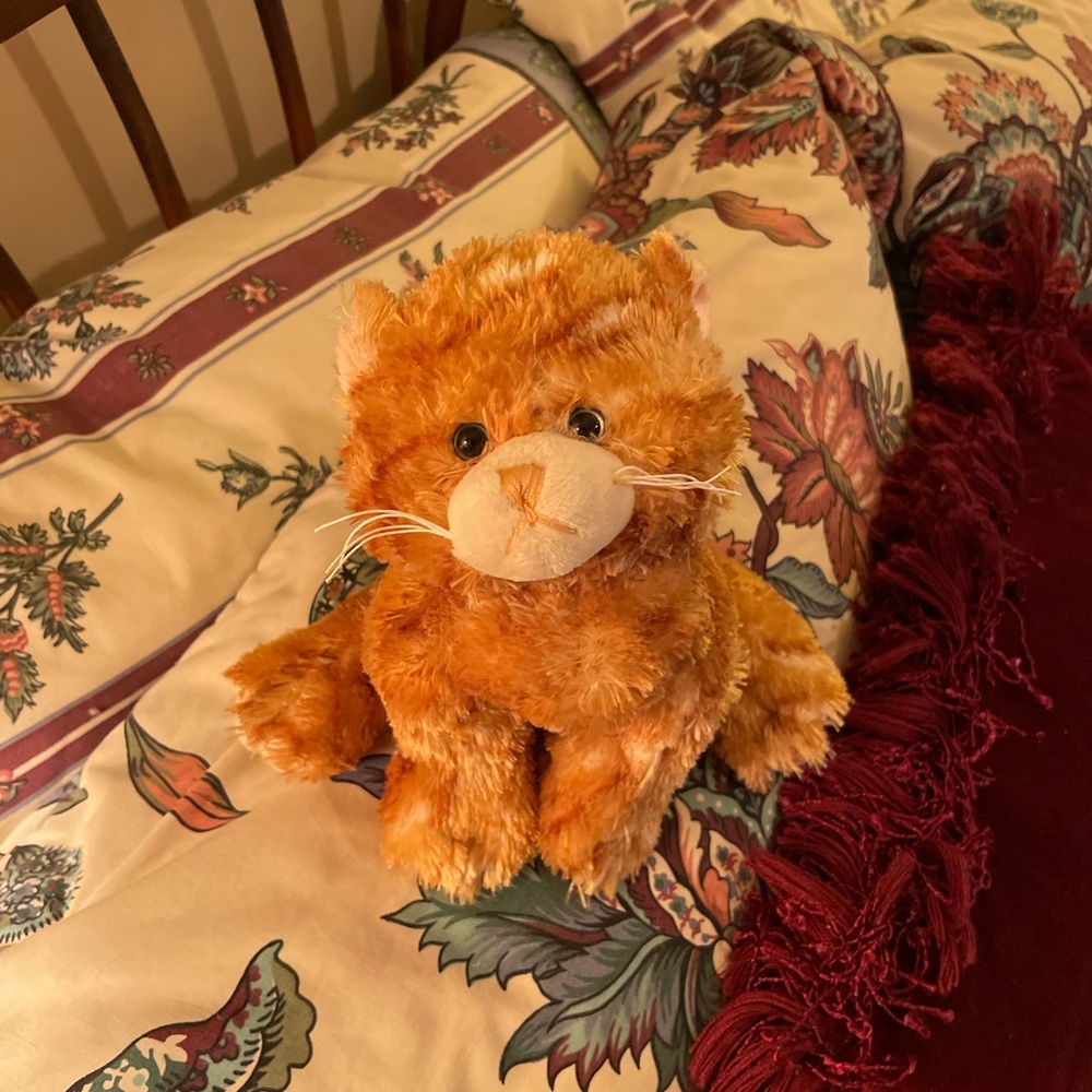 webkinz tabby cat plush